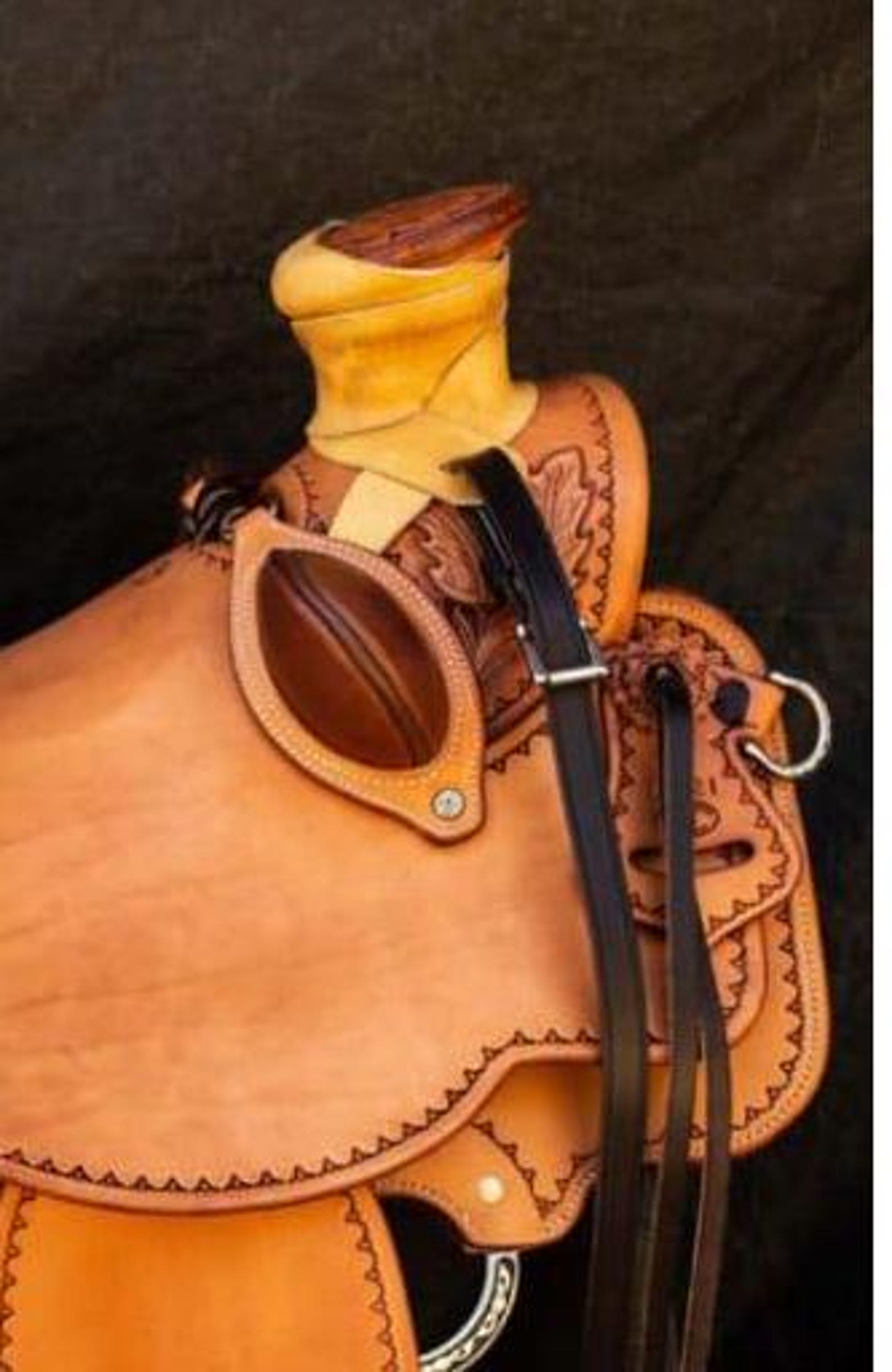Saphir Beaute du Cuir - Teinture Francaise