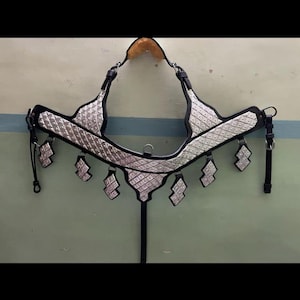 Briscolor and headstall with silver fitting colour black