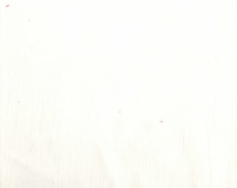 Ivory Cotton Voile Fabric, Sheer Sewing Fabric
