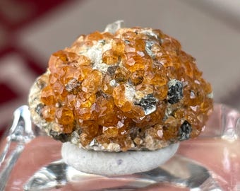 Gemmy Spessartine Garnet on Feldspar Thumbnail | Raw Garnet Crystal Specimen