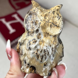 Peut inclure: Figurine de hibou sculptée dans des tons de beige, marron et noir. Le hibou a de grands yeux ronds et une surface texturée. La figurine est tenue dans une main, avec un arrière-plan flou.
