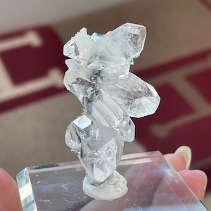 Collectors Grade Apophyllite with Chalcedony Stalactite Crystal Specimen