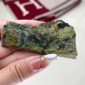 Raw Rainforest Jasper Small Slab | Rhyolite Crystal Slice
