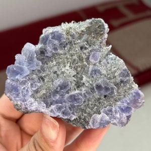 Può includere: Un gruppo di cristalli di fluorite viola incastonati in una matrice di materiale cristallino grigio e scintillante. I cristalli di fluorite sono traslucidi e hanno un leggero bagliore.