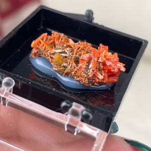 Könnte beinhalten: Ein leuchtend orangefarbenes Mineralexemplar mit kristalliner Struktur, präsentiert in einer schwarzen Schale. Das Mineral liegt auf einem blau-grauen Sockel, der seine komplizierten Details und Farbvariationen hervorhebt. Ein beeindruckendes Beispiel für natürliche Formationen.
