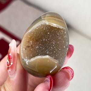 May include: A polished agate geode with a brown and white exterior and a white crystal interior. The geode is shaped like an egg and has a smooth, polished surface.