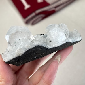 Apophyllite on Druzy Chalcedony
