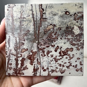 Peut inclure: Carreau de pierre carré avec un motif unique. Le carreau présente une base blanche avec des veines et des taches grises et marron. La pierre a un aspect naturel et organique, avec des variations de couleur et de texture.