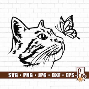 Cute cat Svg | peeking cat | funny kitty | cat svg | pet svg | animal funny face | urious Kitten Clipart | Cat with Butterfly Svg | Png Dxf