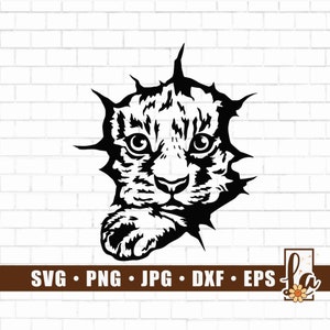 Tiger Scratch Svg | Peeking Tiger Svg | Cute Tiger Svg | Baby Tiger Svg | Tiger Png | Tiger Svg Files for Cricut and Silhouette | Png Dxf