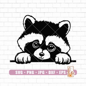 Peeking Raccoon SVG | Baby Raccoon Svg |  funny animal SVG Files for Cricut | woodland clipart | racoon png | Glowforge Files | Png Dxf Eps
