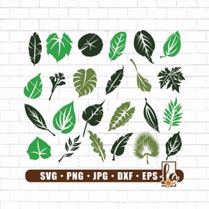 24 leaves svg | leaf svg | paper flower leaves svg | tropical leaves svg | leaf templates svg | greenery svg | botanical svg | monstera svg