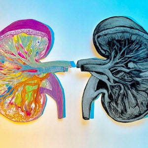 Kidney | Gift of Life Gratitude Thank you Cards Set of 12 with Envelopes