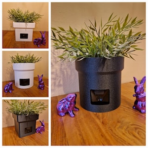 Peut inclure: Trois pots de fleurs blancs et noirs avec un trou à l'avant, chacun avec une petite plante verte et une figurine de lapin violet devant. Les pots sont faits d'un matériau texturé.