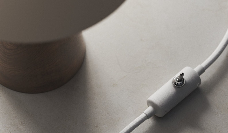 May include: A white cord with a white inline switch. The switch has a silver knob.
