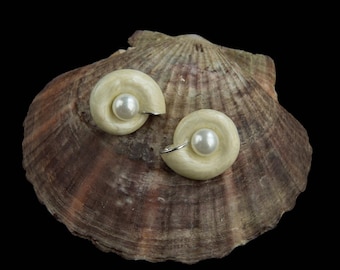 Orecchini a conchiglia perlata: perni in argento sterling con perla d'acqua dolce