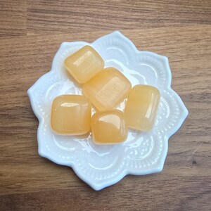 May include: A white ceramic dish with a decorative design holds six small, translucent, amber-colored stones.