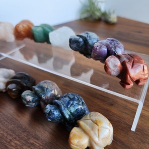 May include: A collection of 12 small, carved turtle figurines made from various types of polished stones. The turtles are arranged in a line on a clear acrylic shelf. The stones include clear quartz, amethyst, red jasper, green aventurine, and more.