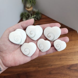 May include: Seven heart-shaped, off-white decorative objects with a spiral design in the center. The objects are held in a hand, with a wooden surface in the background. A small plant is visible in the upper background.