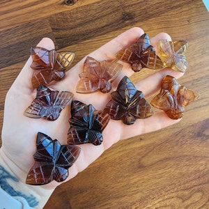 Amber Bee Carving | Natural Amber Carvings | Wings Closed Honeybee | Save the Bees | Intuitively Chosen