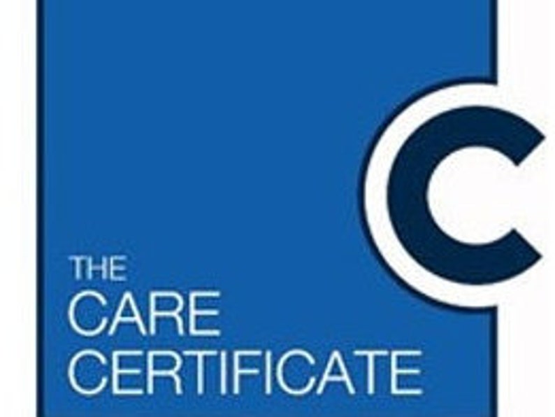 Care Certificate FULLY completed workbooks 1-5 image 1
