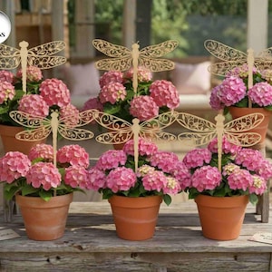 May include: Six terracotta pots filled with pink hydrangea flowers, each decorated with a wooden dragonfly. The pots are arranged on a weathered wooden surface, creating a charming garden display. The image includes a tag that says "Autumn Garden".
