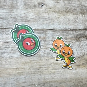 Resina planar com parte traseira plana Orange Bird | BRILHO | Centro de laço de cabelo, chaveiro, enfeite de álbum de recortes