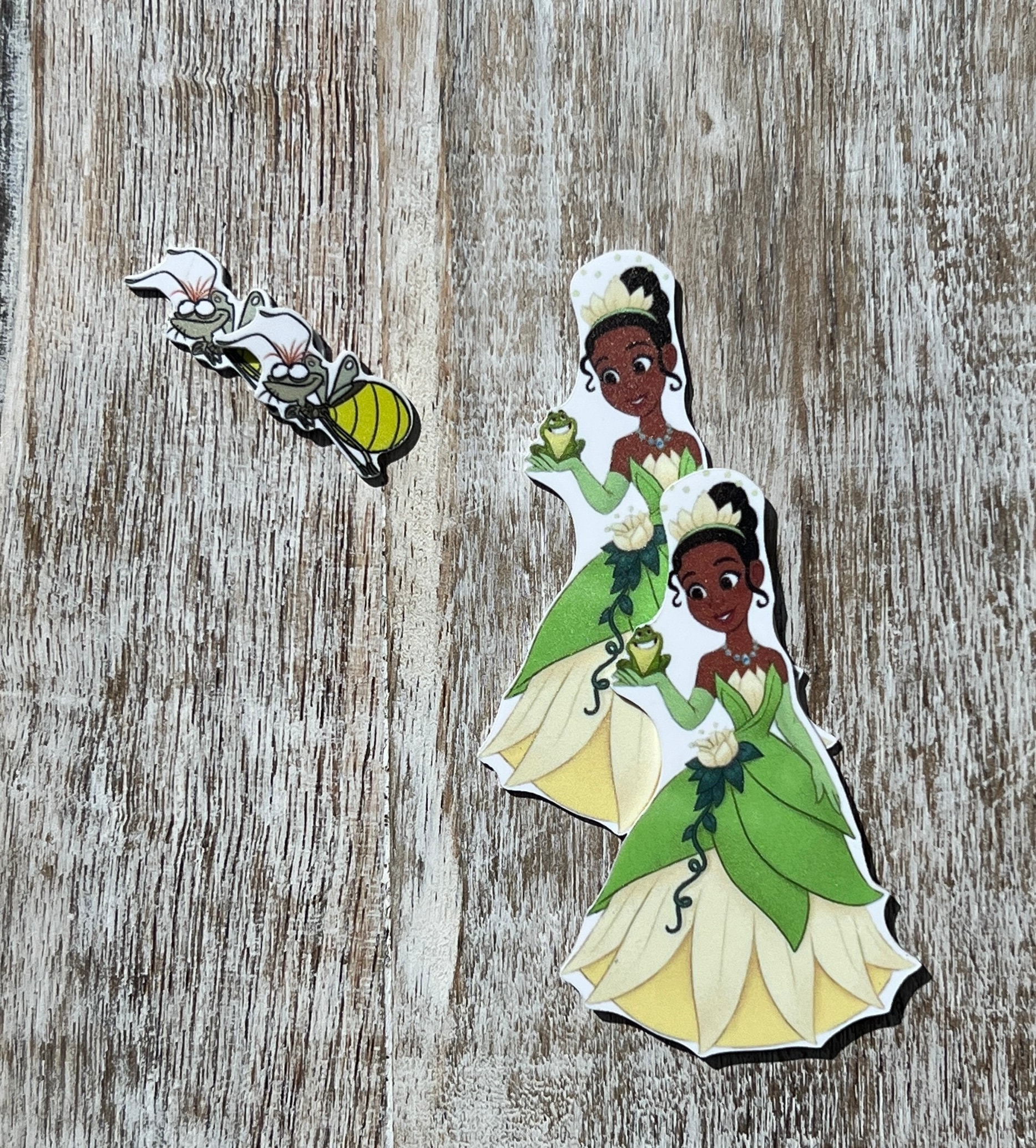 Princess and the Frog Flat Back Planar Resin | Tiana, Ray | Hair Bow Center, Key Ring, Scrapbook Embellishment