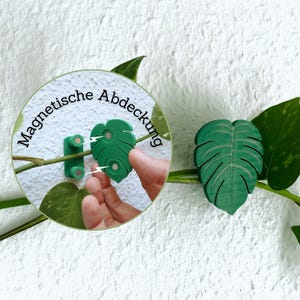 Rankende pflanze - Etsy.de
