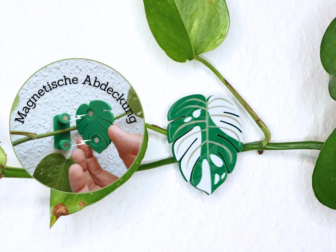 Rankhilfe Wandhalter fr Monstera Hngepflanze & Kletterpflanze Geschenk  zum Einzug magnetisch Wand Deko Monstera Khlschrank Magnet - Etsy.de