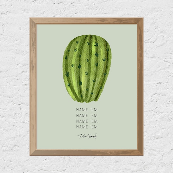 kaktus opuntia subulata Opuntia subulata