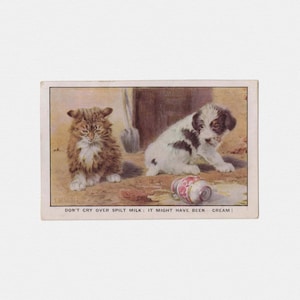1920er Jahre "Spilled Milk" Katze & Hund Postkarte, signiert Valter | Antike Postkarte von Getigerte Katze und Bernhardiner Welpe: "It Might Have Been Cream"