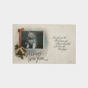 ca. 1900s White Kitten & Christmas Bells Happy New Year's Cat Postkarte | Antike fotografische Edwardian Unposted Weihnachts-Feiertags-Postkarte