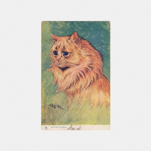 Carte postale de chat « Ruffled Plumes » Louis Wain, 1906, signée par l'artiste | Carte postale édouardienne anthropomorphe antique orange persan dessin animé par Tuck's