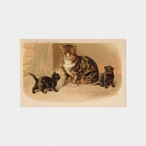 ca. 1902 Helena Maguire Tabby Cat w Kittens Chromo Cat Postcard | Antique Raphael Tuck & Sons Unused Undivided Chromolithographic Card #1613