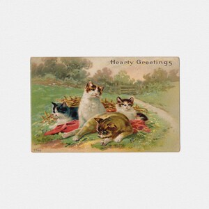 1910 Landkatzenfamilie Chromo Postkarte | Antike edwardianische Pastoral geprägte chromolithographische "Herzliche Grüße" Postkarte