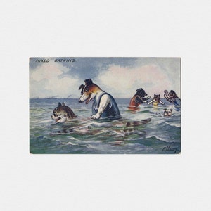 Carte postale de plage Ellam « Mixed Bath » des années 1910, artiste signée | Carte postale antique de Raphael Tuck & Sons de chats et de chiens anthropomorphes nageurs