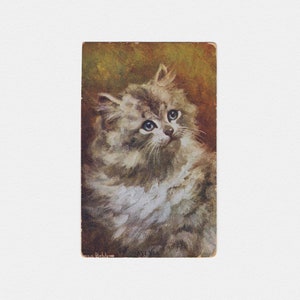Carte postale de chat tigré argenté « Sylvia » des années 1920, signée Rosa Bibb | Carte ancienne représentant un chaton, Photocrom Co London Celesque Series 1178