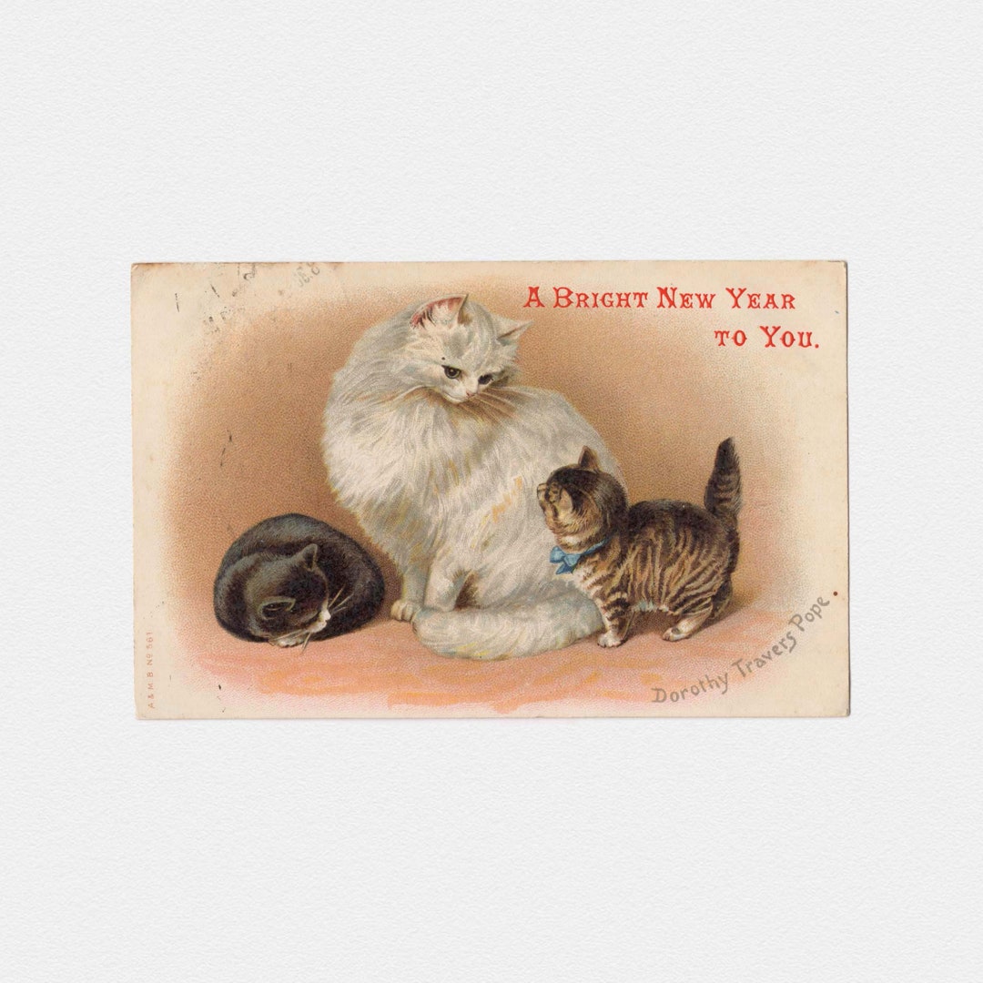 ◆Cat◆ 2016 Arctic Cat XF 9000 CrossTrek Reviews, Prices, and Specs