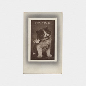 ca. 1907 "I want my Pa" weinendes Kätzchen Postkarte | Antike Edwardian unbenutzte einfarbige schwarz-weiße fotografische Katzenpostkarte von Robbins