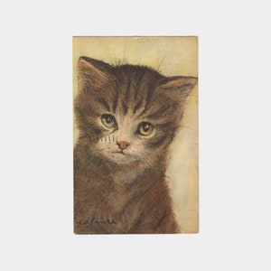 1954 Brown getigerte Skizzen-Katzenpostkarte | Geteilte Midcentury Kätzchen Pastellkunst Postkarte von Stehli Frères aus Zürich, Schweiz