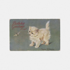 1933 "Birthday Greetings" Carte postale chat chaton persan blanc, signée Persis Kirmse | vintage Raphael Tuck & Sons, "Petite Blanche-Neige" #3581