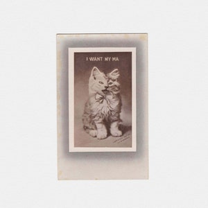 ca. 1907 "I Want My Ma" Weinendes Kätzchen Postkarte | Antike edwardianische unbenutzte einfarbige Schwarz-Weiß-Fotografie-Katzen-Postkarte von Robbins