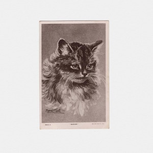 1909 ""Queenie"" Real Photo Katzen Postkarte, signiert Muriel Hunt | Antike Edwardian RPPC Postkarte