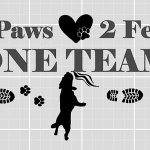 Standing 2 Paws, 4 Feet Nosework