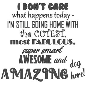 I Don&#39;t Care