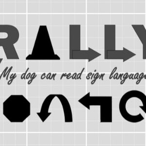 Lingua dei segni del rally