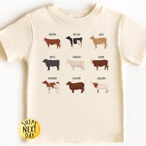 Cow Breeds Toddler Shirt, Cow Love Kids Tee, Country Life Shirt, Toddler Sweatshirt, Youth Sweatshirt, Cute Farm Kids Shirt,Cowboy Boy Shirt
