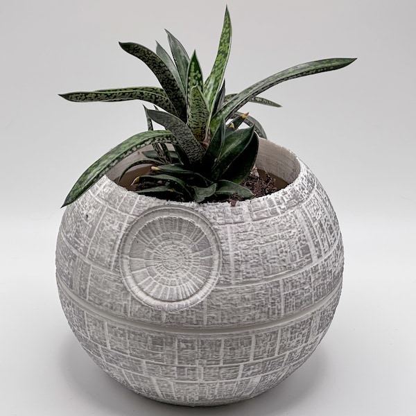 Handgeschilderde Death Star-planter – Sci-Fi-decor voor vetplanten