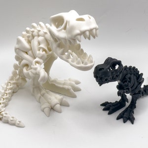 Puede incluir: Dos esqueletos de dinosaurios, uno blanco y otro negro, están colocados como si se enfrentaran. El dinosaurio blanco es más grande que el dinosaurio negro.